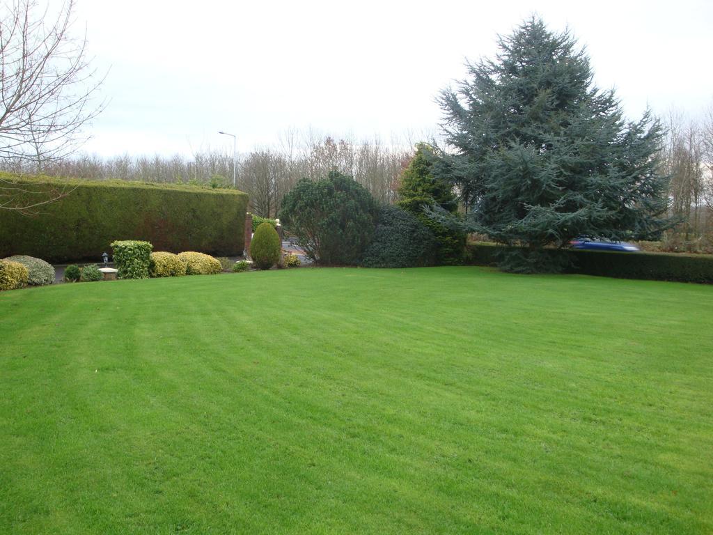 Meadow View B&B Navan Kültér fotó